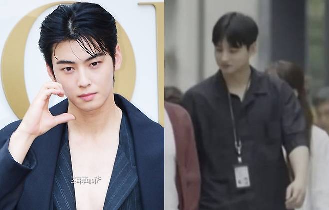 차은우 형제. 사진| 스타투데이 DB, tvN 방송화면 캡처