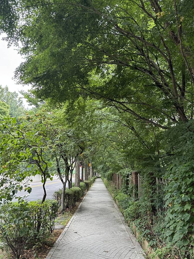 서울 종로구 윤동주 문학관으로 가는 길. [이원율 기자]