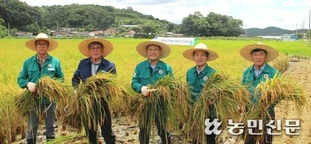 손기을 경북 영주 안정농협 조합장(왼쪽 두번째부터), 임종득 국민의힘 의원, 유정근 영주시장 권한대행, 김병기 영주시의장 등이 14일 안정면 오계리 들녘에서 ‘8·15 광복쌀’을 첫 수확하고 있다.