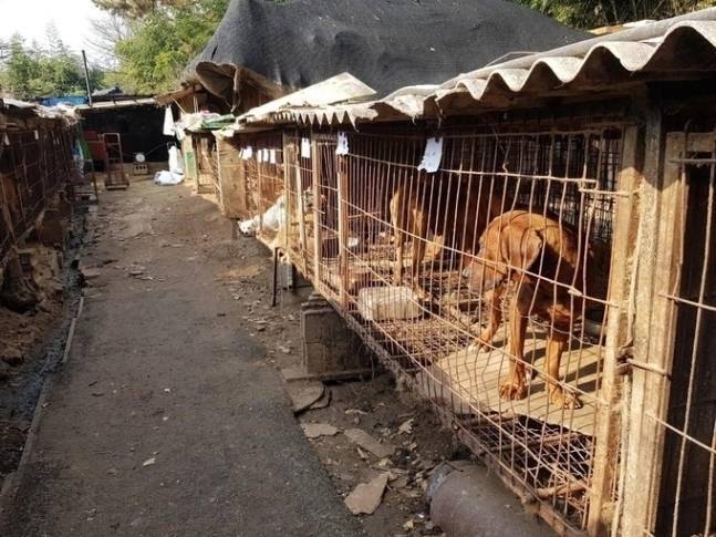 기사 내용과 직접 관련되지 않음. 연합뉴스