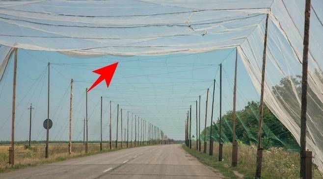 우크라이나 도네츠크의 크라마토르스크와 도브로필리아를 잇는 중요한 물류 경로인 T05 고속도로가 초대형 그물망에 완전히 뒤덮여 있다. 모스크바타임스 제공