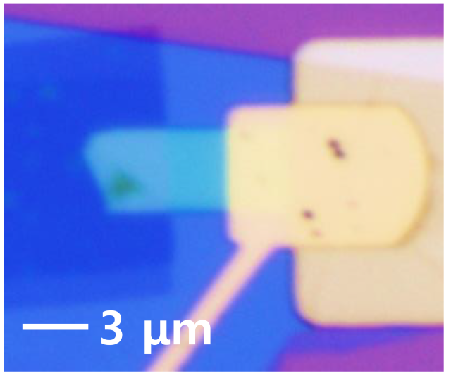 KAIST 연구팀이 개발한 기존 대비 20배 빛에 민감한 광센서. 사진 제공=KAIST