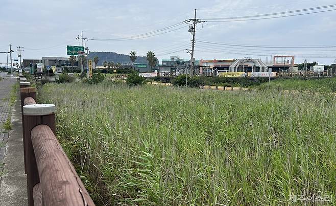 서귀포시 성산읍 고성리 씨름장 항쟁지 자리. 갈대밭과 도로만 남아 있다.&nbsp;&nbsp;ⓒ제주의소리