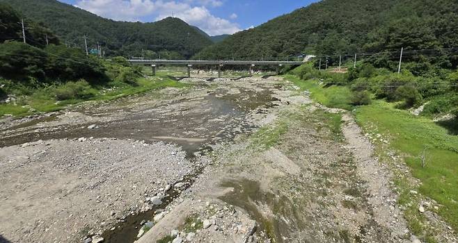 12일 강원 강릉시 주 상수원인 오봉저수지 저수율이 역대 최저치인 25.4%까지 낮아진 가운데 저수지 중·상류 지역이 잡초가 무성하거나 맨바닥을 드러내고 있다. 15일 현재 저수율은 24.2%까지 낮아져 제한급수를 시행하기로 했다. 연합뉴스