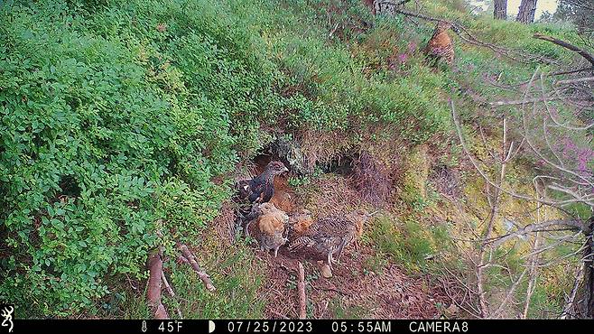 연구 현장 부문 2위, '불침번', Jack Bamber/2025 BMC journals image competition.