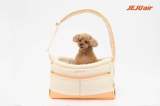 제주항공이 '펫 멤버십'을 운영 중이다. ⓒ제주항공