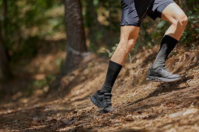 사진=게티이미지코리아.