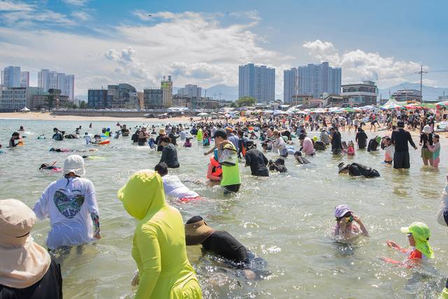▲ 최북단 고성군 토성면 천진해수욕장에서 열린 조개 맨손잡기 축제에 참여한 피서객들이 조개를 캐러 바다로 들어가고 있다.