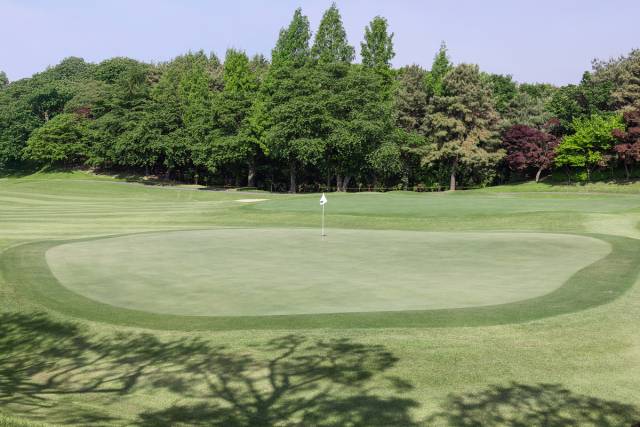 여름철 그린 잔디는 다른 계절보다 보통 길게 관리된다. 이미지투데이