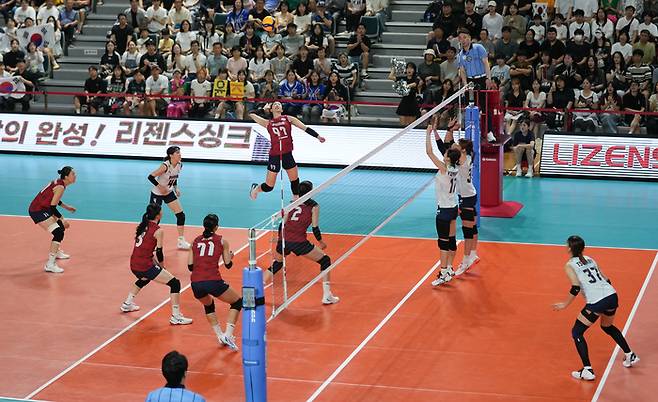 제공 | 대한배구협회
