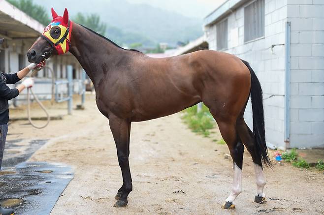 나올패스. 사진=한국마사회