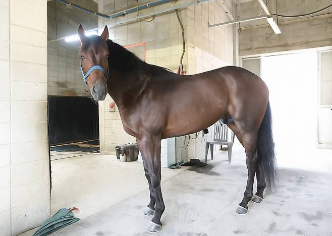 와일드파크. 사진=한국마사회