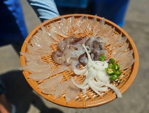 속초시청 게시판에 올라온 5만6000원 오징어.