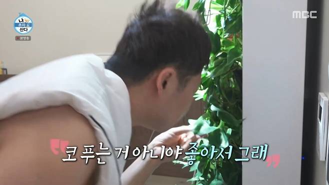 전현무가 침실 벽을 풀잎으로 가득 채웠다. /사진= MBC '나 혼자 산다' 캡처