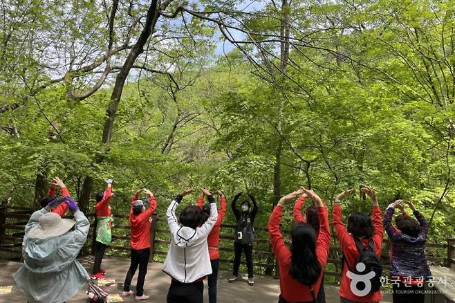 국립제천치유의 숲에서는 산림치유 프로그램을 경험할 수 있다. 가장 대표적인 프로그램인 '활인심방 숲테라피' /사진=한국관광공사