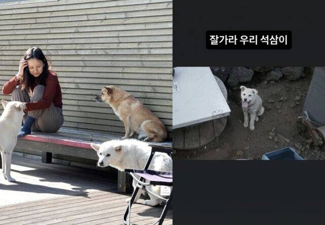 이효리./ 이효리 인스타그램