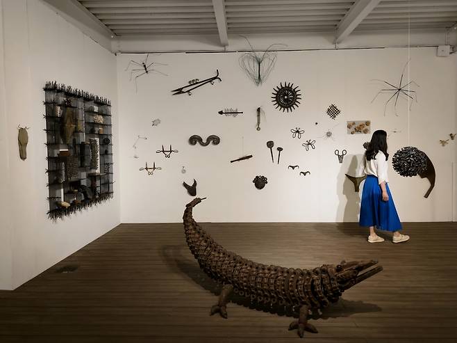 이재효 갤러리 악어 작품.