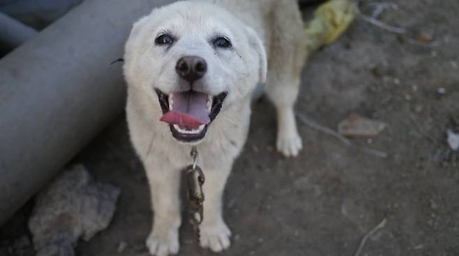 이효리 인스타그램 캡처