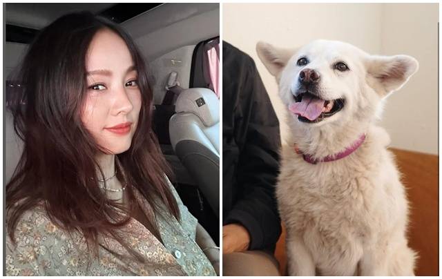 이효리. 사진l이효리 SNS 캡처