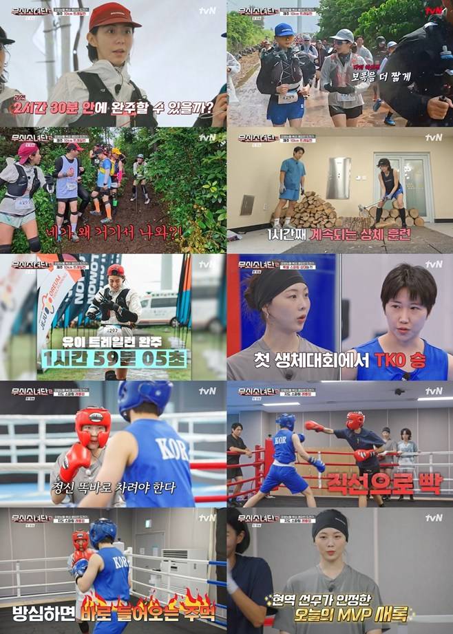 티브이데일리 포토