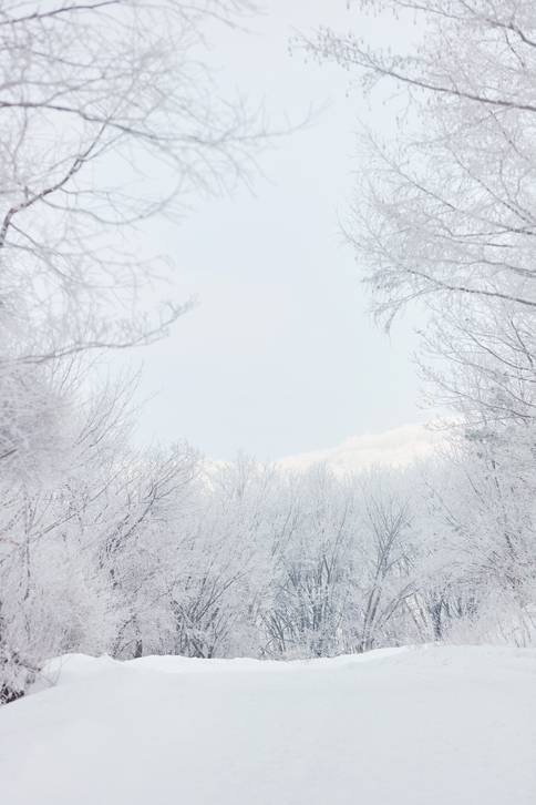 게티이미지뱅크