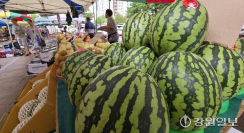 이번 여름 기록적인 폭염과 폭우로 수박, 복숭아 등 여름과일 작황이 부진해 가격이 크게 오른 가운데 17일 춘천 풍물시장에서 시민들이 과일판매대 앞을 지나쳐 가고 있다. 박승선기자