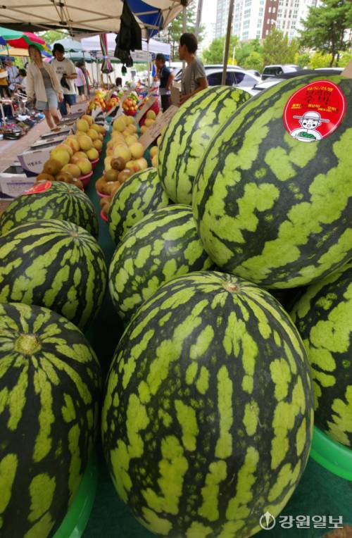 이번 여름 기록적인 폭염과 폭우로 수박, 복숭아 등 여름과일 작황이 부진해 가격이 크게 오른 가운데 17일 춘천 풍물시장에서 시민들이 과일판매대 앞을 지나쳐 가고 있다. 박승선기자