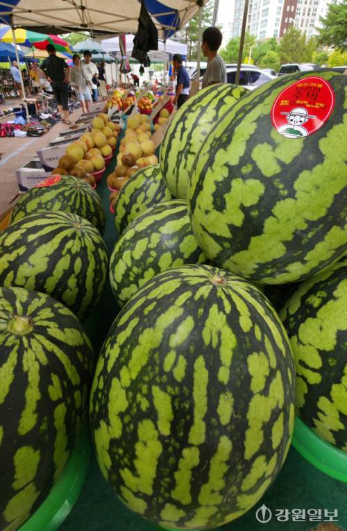 이번 여름 기록적인 폭염과 폭우로 수박, 복숭아 등 여름과일 작황이 부진해 가격이 크게 오른 가운데 17일 춘천 풍물시장에서 시민들이 과일판매대 앞을 지나쳐 가고 있다. 박승선기자