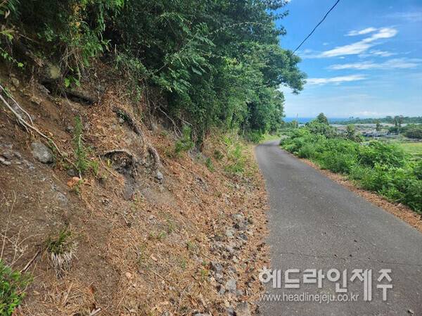 낙석이 발생하고 있는 애월 상가지구 급경사지 현장 모습.사진=제주시청