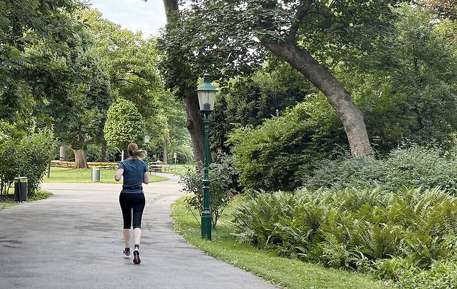 이른 아침 오스트리아 ‘빈 시립공원’(Stadtpark)을 달리는 러너. 러닝에 진심인 도시 빈에선 흔한 풍경이다. 박미향 기자
