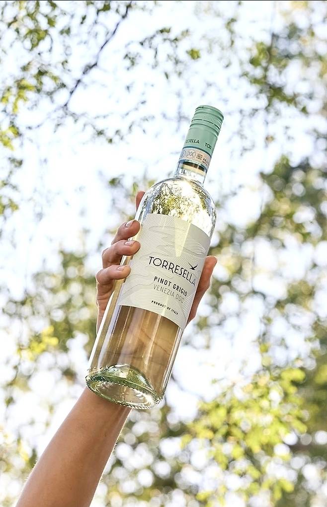 토레셀라 피노 그리지오. 인스타그램