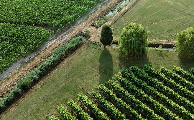 토레셀라 포도밭. 홈페이지