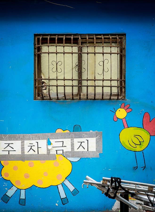 세월에 의해 휘어져버린 모습마저 멋스럽다. [사진 | 오상민 작가]