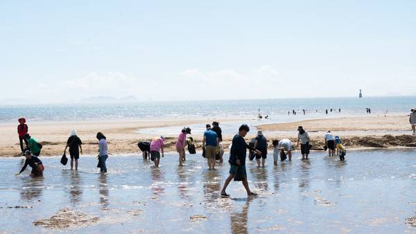 "새우들이 어디 있을까?" 주섬주섬음악회 맨손대하잡이 참가자들이 열심히 대하를 잡고 있다. 2025.8.16 [경인방송DB]