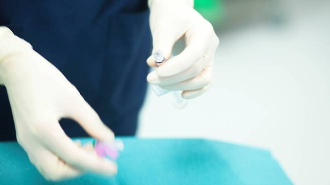 ⓒ 게티이미지뱅크