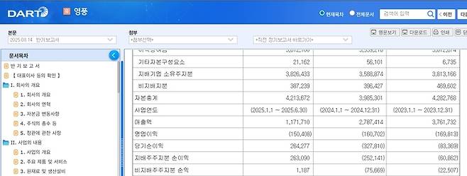 영풍 상반기 실적