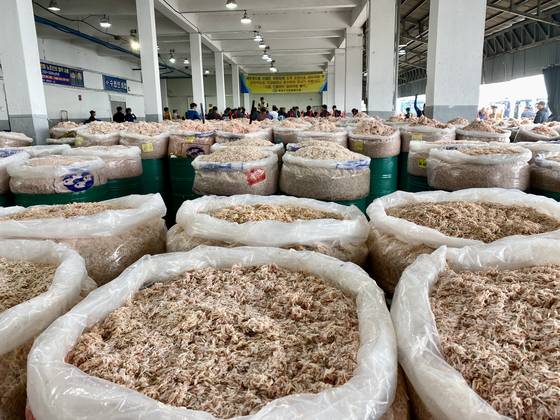 목포시 수협 새우젓 경매 모습. [사진 박상현]