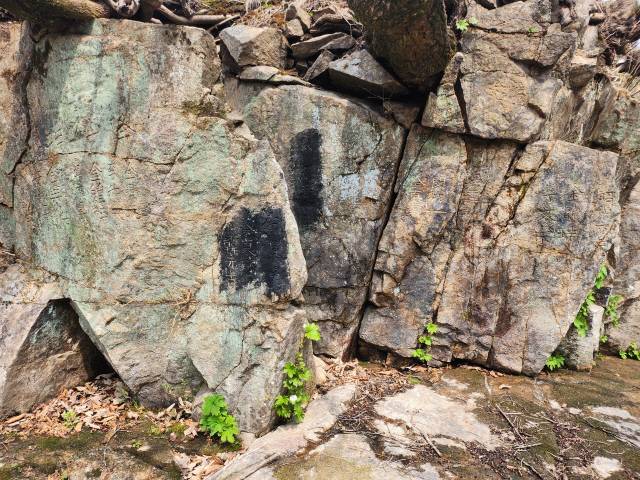 ▲ 화천군 상서면 하천가에서 발견한 구국동지회 암각 글자.