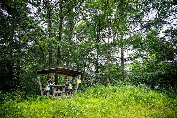 임도 중간에는 쉬어갈 수 있는 정자도 몇 설치돼 있다.