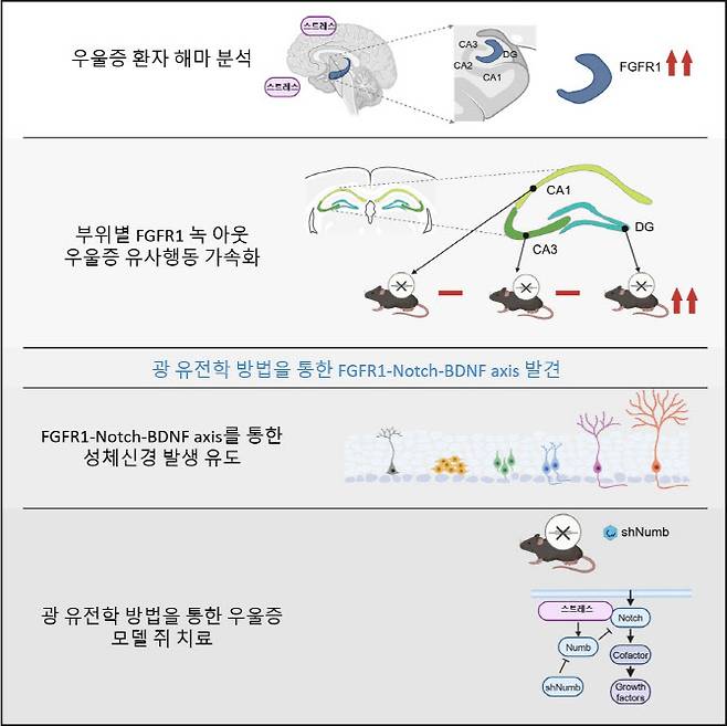 연구 내용 시각화 요약.(자료=KAIST)