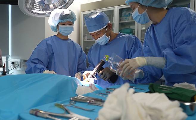 정형외과 수술 중인 권기범 예은동물의료센터 원장(동물병원 제공) ⓒ 뉴스1