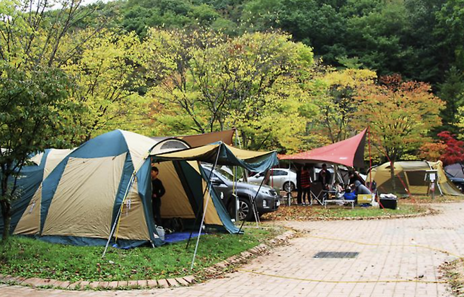 사진은 기사의 특정 내용과 관련 없음. 고캠핑 홈페이지