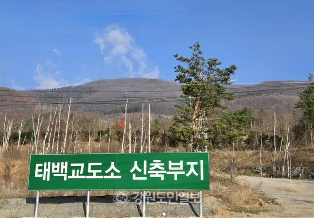 ▲ 황지동 산 6번지에 들어서는 태백교도소 신축사업이 올해말 실시설계 용역을 마치고 내년 상반기중 착공에 들어갈 전망이다. 태백교도소 신축부지 모습. 전인수