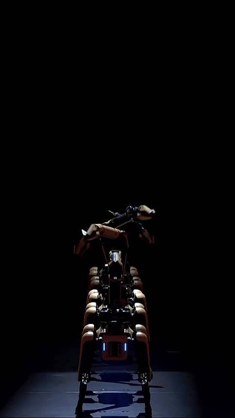 영상=아메리카 갓 탤런트 공식 유튜브 채널