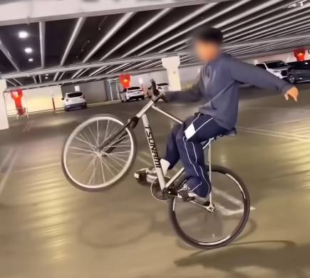 픽시 자전거./사진=유튜브