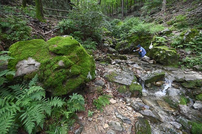 대구 앞산 큰골약수터가 있는 '큰골'은 앞산의 여러 골짜기 중 가장 넓고 긴 계곡이다. 큰골에는 '호국 선열의 길'이 조성돼 있다.