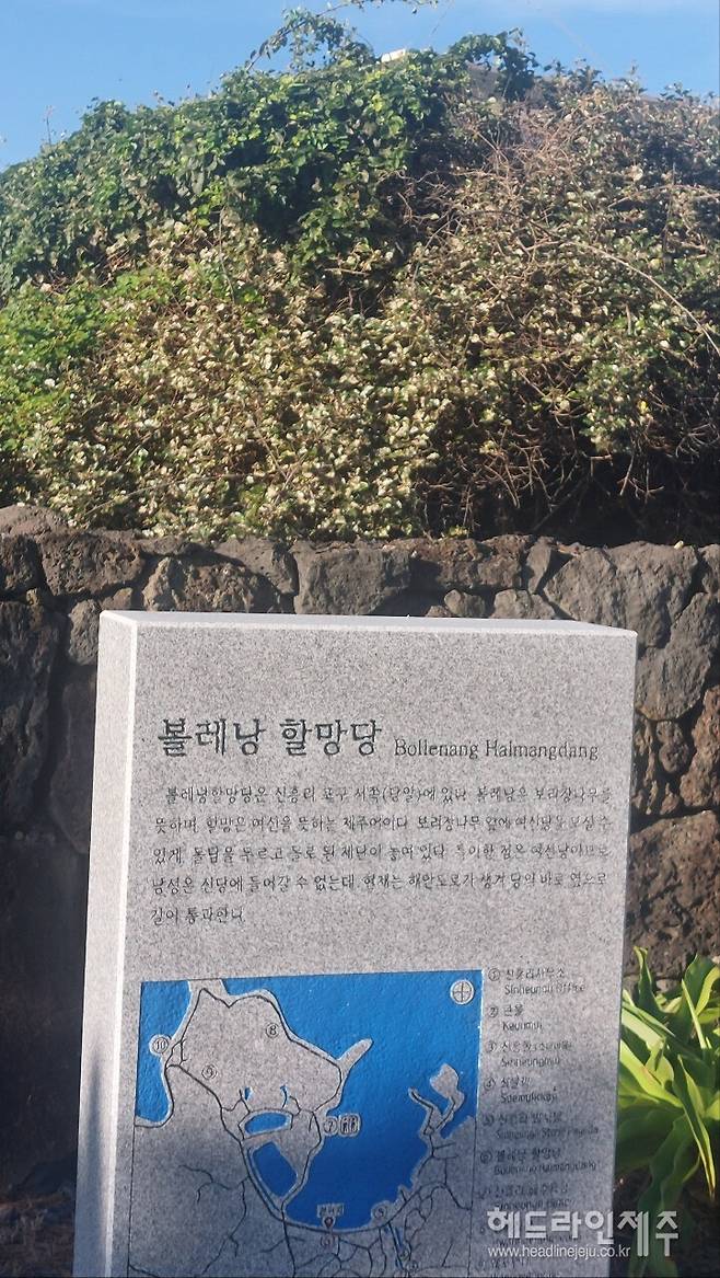 제주시 조천읍 신흥리. (사진=강철수)