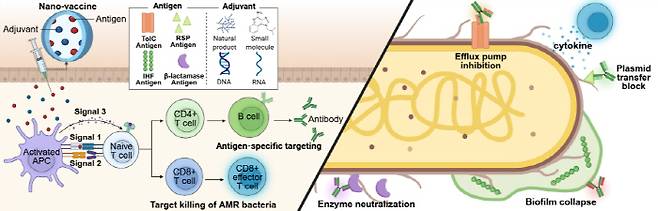 차세대 백신 전략을 통한 항생제 내성 제어 방법