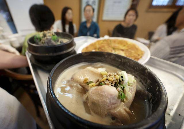 말복이었던 9일 서울 종로구 한 삼계탕 전문점에서 직원이 삼계탕을 나르고 있다. 뉴시스