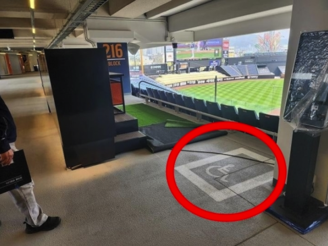 잔디를 치우자 나오는 장애인석 표시. 대전시 제공